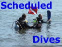 Scheduled Dives