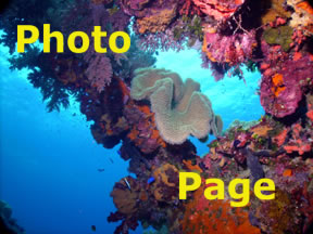 Photo Page
